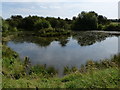 Pond near the River Sence in LE7 9BG