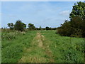 Footpath along the River Sence in LE7 9BG