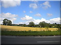 Field north of the B5010 near Risley in Draycott & Risley Ward