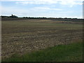 Farmland near Bletsoe in MK44 1QE