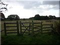 A kissing gate at Calley Heath Nature Reserve in YO42 4HT