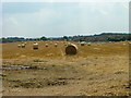 Straw Bales near Thorpe End in NR7 0RX