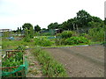 Sprowston allotments in NR7 8UH
