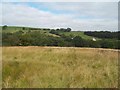 Grassland near Furness Clough in SK12 2AR