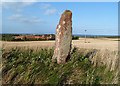 Easter Broomhouse Standing Stone in EH42 1UZ