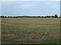 Farmland off the St Neots road in Staploe