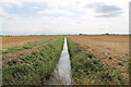 Drain running south from Morton North Drove in PE10 0XJ