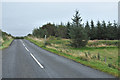 Rigg Road past Craigston Plantation in KA18 3JL