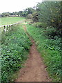 Path up Partridge Hill in MK17 9AQ