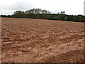 Ploughsoil beside the Daffodil Way in GL18 2BB