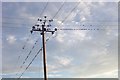 Birds on the wire in CB6 2DA