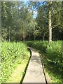 Boardwalk on the Adair Walk in NR35 2AG