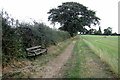 Bench by the bridleway in MK43 0TS