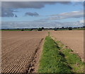 Footpath across open fields towards Green Arbour Road in S66 9BP