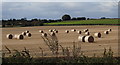 Field with bales by Green Arbour Road in S66 9FJ