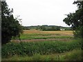 Drayton Bassett: Arable farmland in B78 3TG