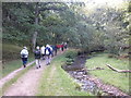 Walkers in Hodder's Combe in TA5 1SA