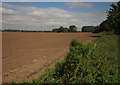 Tilled field by Eccleshall Road in ST15 0NS