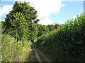 Footpath to Adam's Wood in RG9 6NR
