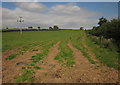 Pasture near Elmhurst in ST18 9SB