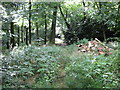 Rubble in Moorend Wood in RG9 6PT