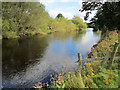 River Wharfe by Carthick Wood in LS22 4BS