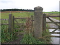Benchmark on a gatepost near Green Hill in BB7 4DJ