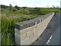 Renewed bridge parapet at Hapton Crags in ML10 6EG