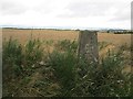 Scone Aerodrome triangulation pillar in PH2 6NR