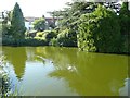 The duck pond, Graveley in SG4 7LE