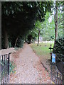 Path leading to St Peter & St Paul's Church, Thruxton in SP11 8NF