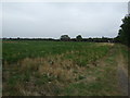 Farmland and footpath, Eye in PE6 7XX