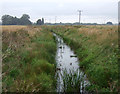 Drain beside Willow Hall Lane in PE6 7YU