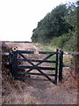 Bridleway by Jarvis's Wood in MK16 8LW