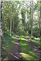 Track into Oak Holt, off Brinkle Spring Lane in Heighington