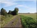 Byway to Carlton and Willingham Green in CB21 5NY