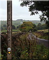 Hillside track above Handleywood Farm in DE56 2DU