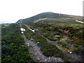 The track from Scaut Hill to Tinto in ML12 6HX