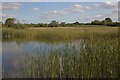 Wetlands, Marston Vale Country Park in MK43 0WY