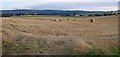 Harvested fields, by Ardnagrask Mains in Muir of Ord