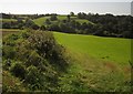 Fields above Axmouth in EX12 4BQ