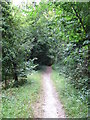 Bridleway near Downside Manor in KT22 8FD
