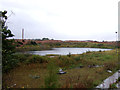 Pond, King's Dyke brick works, Whittlesey in PE7 1PJ