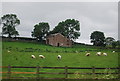 Field barn by the M6 in CA11 9NQ