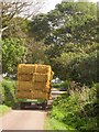Straw trailer, Green Lane in DT7 3RD