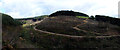 Cleared Forestry at Cwm Garw Fechan in CF32 8BX