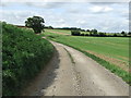 Farm Track in IP21 5BS
