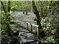 Footbridge over stream in Blakes Wood in CM3 4SU