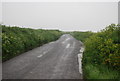 Lane to Rickham Cross in TQ8 8PL