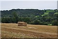 East Devon : Grassy Field & Hay-bales in EX5 5EF